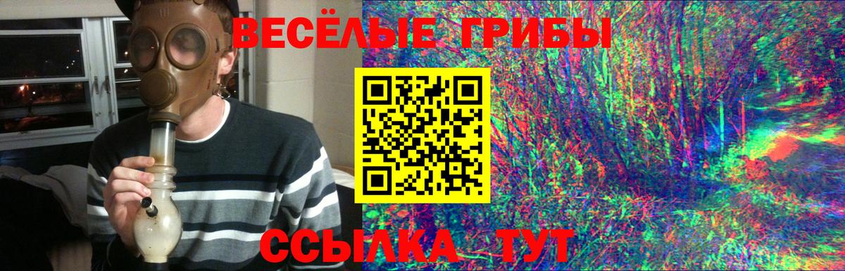 ЭКСТАЗИ  A-PVP СОЛЬ кристаллы  Скопин  MDMA  NBOMe  Меф кристаллы  COCAIN  ГЕРОИН  ГАШИШ  ГАШ  Кетамин  МАРИХУАНА 