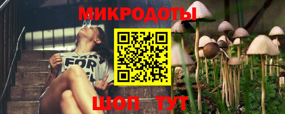 Галлюциногенные грибы GOLDEN TEACHER  цена   Скопин  Вход с VPN 